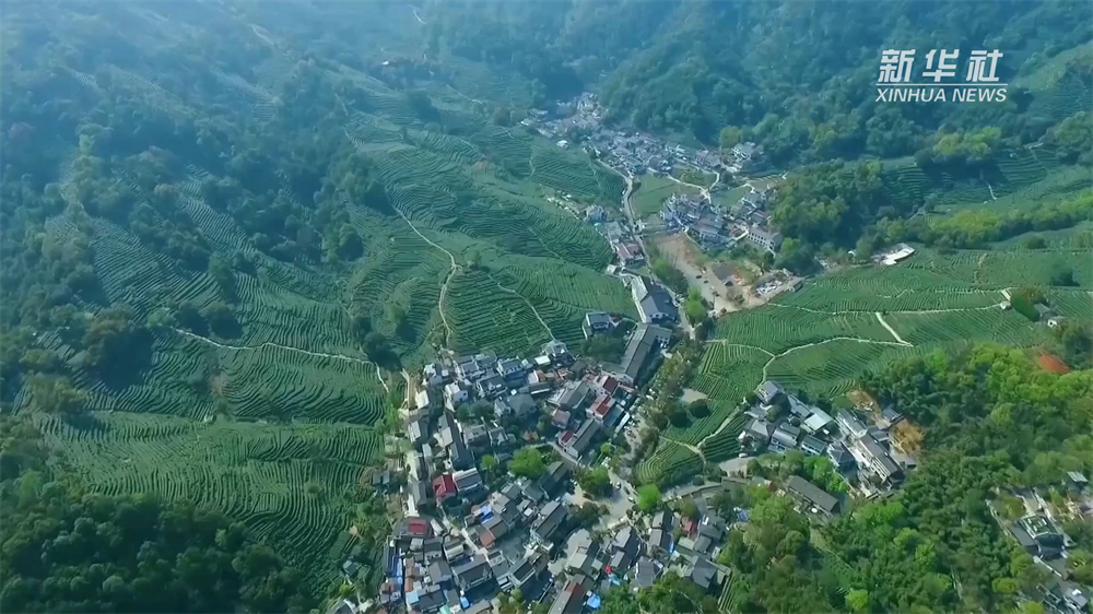 春風(fēng)徐來，經(jīng)濟(jì)回暖