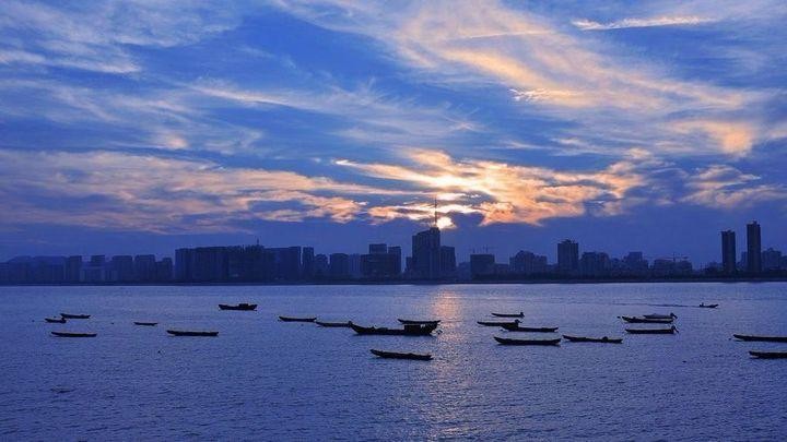 沿著茶香，尋浙溫暖